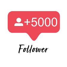 5.000 Instagram Followers – SubFollower.com