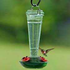 glass hummingbird feeder birdwatching