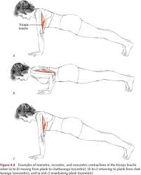 human anatomy and yoga tirisula