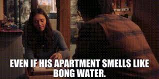 apartment smells like bong water