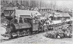 Mosquito And Coal Creek Railroad