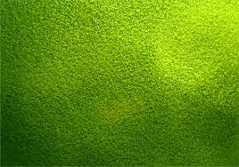 1500 green backgrounds wallpapers com