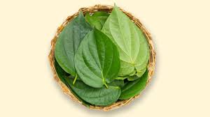 mouth freshener but betel leaves