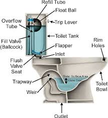 How To Unclog Toilet If Plunger Isn T