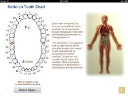 Meridian Tooth Chart Fdi 1 0 Free Download