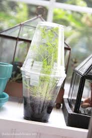 Glass greenhouses offer a classic look but may not be the highest quality building material available on todays market. Simple Greenhouse For Kids Easy And Fun For All Ages Simple Greenhouse Plant Science Science For Kids