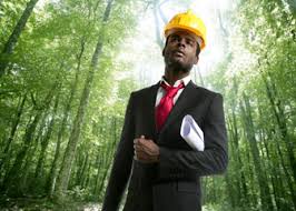 environmental engineers occupational
