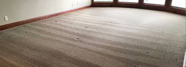 purecare dry carpet cleaning in lincoln