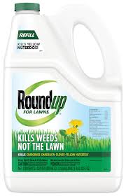 This roundup super concentrate is more heavy duty than what. Roundup For Lawns 1 Grass Friendly Weed Killer Refill Roundup
