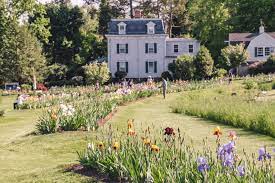 the presby iris gardens montclair s