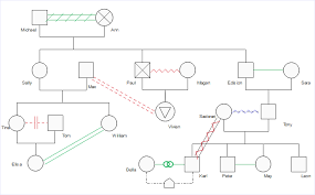 Free Download Editable Genogram Examples