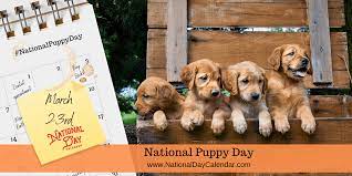 Maybe you would like to learn more about one of these? National Puppy Day March 23 National Day Calendar