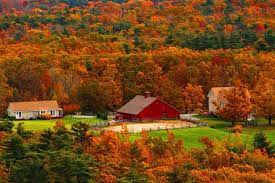 40 Beautiful Autumn Pictures - The Photo Argus