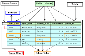 components of a table of a database