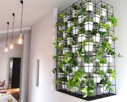 Indoor Vertical Garden Services In