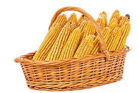 14,339 Corn Basket Stock Photos - Free & Royalty-Free Stock Photos from  Dreamstime