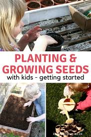 Growing Seeds With Kids