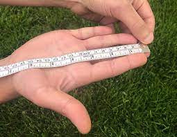 We offer you a small guide of how you need to measure your hand, so you can figure out the perfect size of goalkeeper gloves you need. Football Glove Buying Guide Dick S Sporting Goods