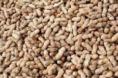 How can you tell if peanuts are aflatoxin?