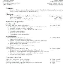 Free Printable Resume Forms Seven Blank Resume Templates Free Online