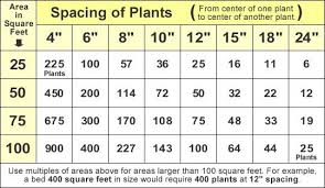 Ground Cover Plant Spacing Chart At Home With Beth Chad