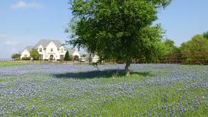 Texas grand ranch real estate overview: Farms For Sale In Texas Farmhouses In Dallas Tx