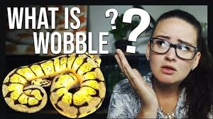 what is wobble spider ball pythons