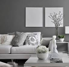 grey two colour combination for living room
