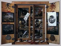 cabinet of curiosities by remps domenico