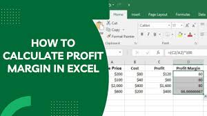 how to calculate profit margin in excel