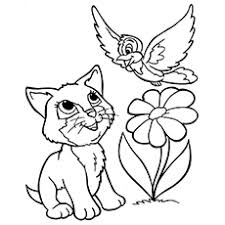 When kittens are born, their eyes are blue and remain that color for the first three weeks. Top 15 Free Printable Kitten Coloring Pages Online