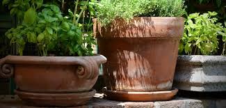 Stop Staining On Patio From Plant Pots