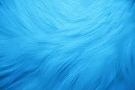 light blue fur texture picture free