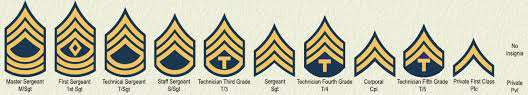 Most Popular Army Rank And Grade Military Rank Insignia