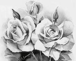 Energy and passion in them was absolutely absent in the drawings. Rose Drawing 13 8613 The Wondrous Pics Flower Sketches Pencil Drawings Of Flowers Roses Drawing