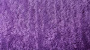 purple carpet with background pattern