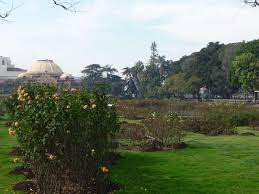 Exposition Park Rose Garden