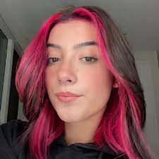 After about a month of magenta hair, tiktoker charli d'amelio went back to black (technically dark brown) yesterday. Pin On Cadelinha Dos Gringos