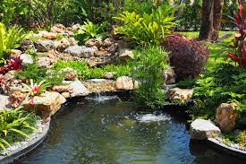 8 Myths About Your Backyard Pond Aquapro