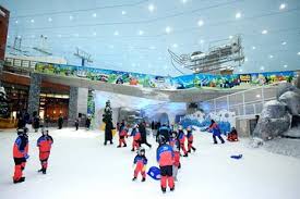 the top 10 dubai winter sports w s
