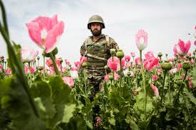 Select the model of your awcc afghanistan locked mobile phone above and click on unlock . Opium Fuels The Stalemate In America S Longest War Cnn