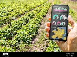 Smart Farming Digital Technology Agriculture App At Farm Stock Photo - Alamy