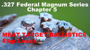 327 Federal Magnum Chapter 5 Meat Target Ballistic Testing With 85gr Loads