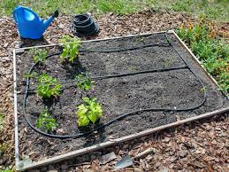 Diy Simple Microirrigation Gardening