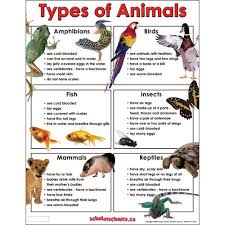 Types Of Animals Chart Types Of Animals Classifying