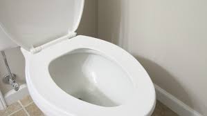 There are many types of upflush toilets. How Much Does Toilet Installation Cost Angi