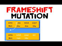 frameshift mutation you