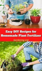 11 Diy Homemade Plant Fertilizers With