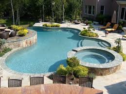 Custom Backyard Pool And Spa