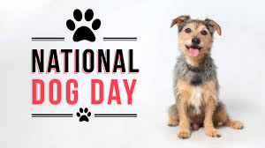 Unlike memorial day, which is the day for honoring those who passed away while serving in the milit. It S National Dog Day Kget 17
